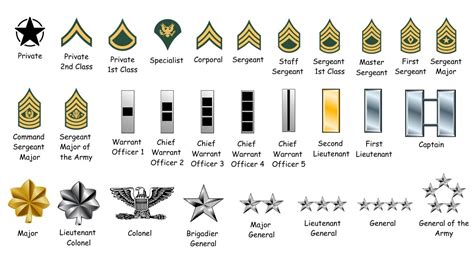 Armed Forces Officer Ranks