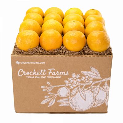 Eighteen Pack Texas Oranges Crockett Farms