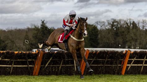 Racing Round Up Alexei Takes Kingwell Hurdle Crown Now For Cheltenham Racing News Sky Sports
