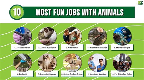 Remote Animal Jobs Online Work From Home Animal Related Careers