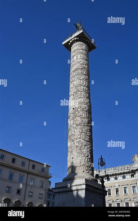 Typically Exceeding 35 Meters 115 Feet Stock Photo 2640486695 Shutterstock