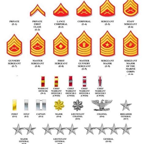 Usmc Ranks Marine Corps Ranks Military Ranks Military Insignia